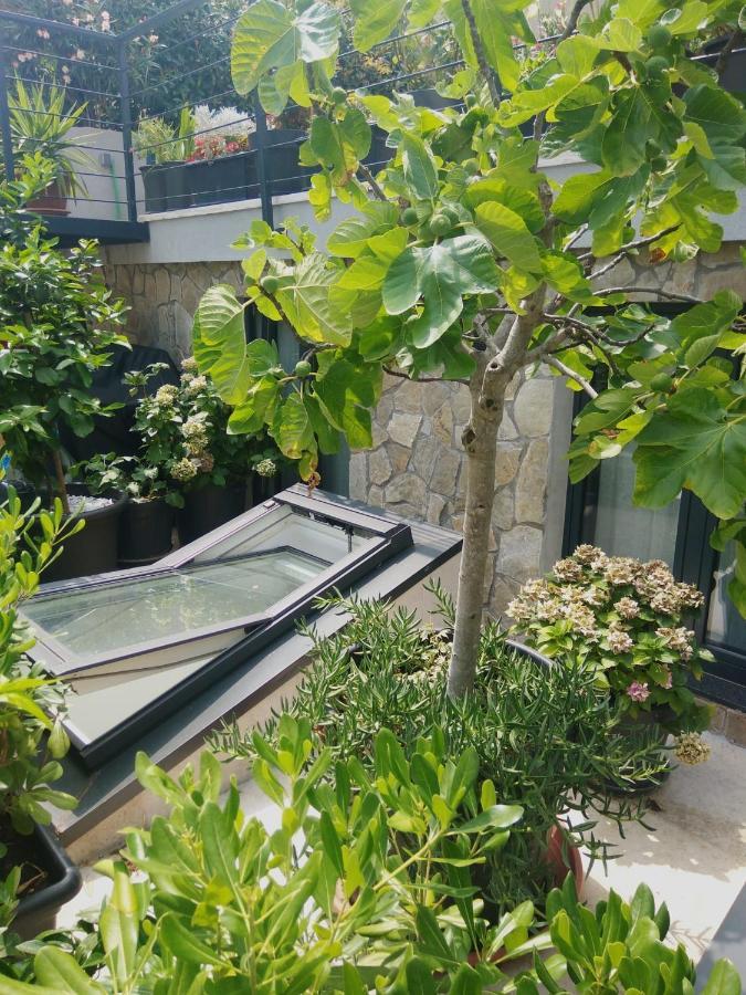 Artspace Location-Opatija-3 Bedroom House With Rooftop Garden By Beach ภายนอก รูปภาพ